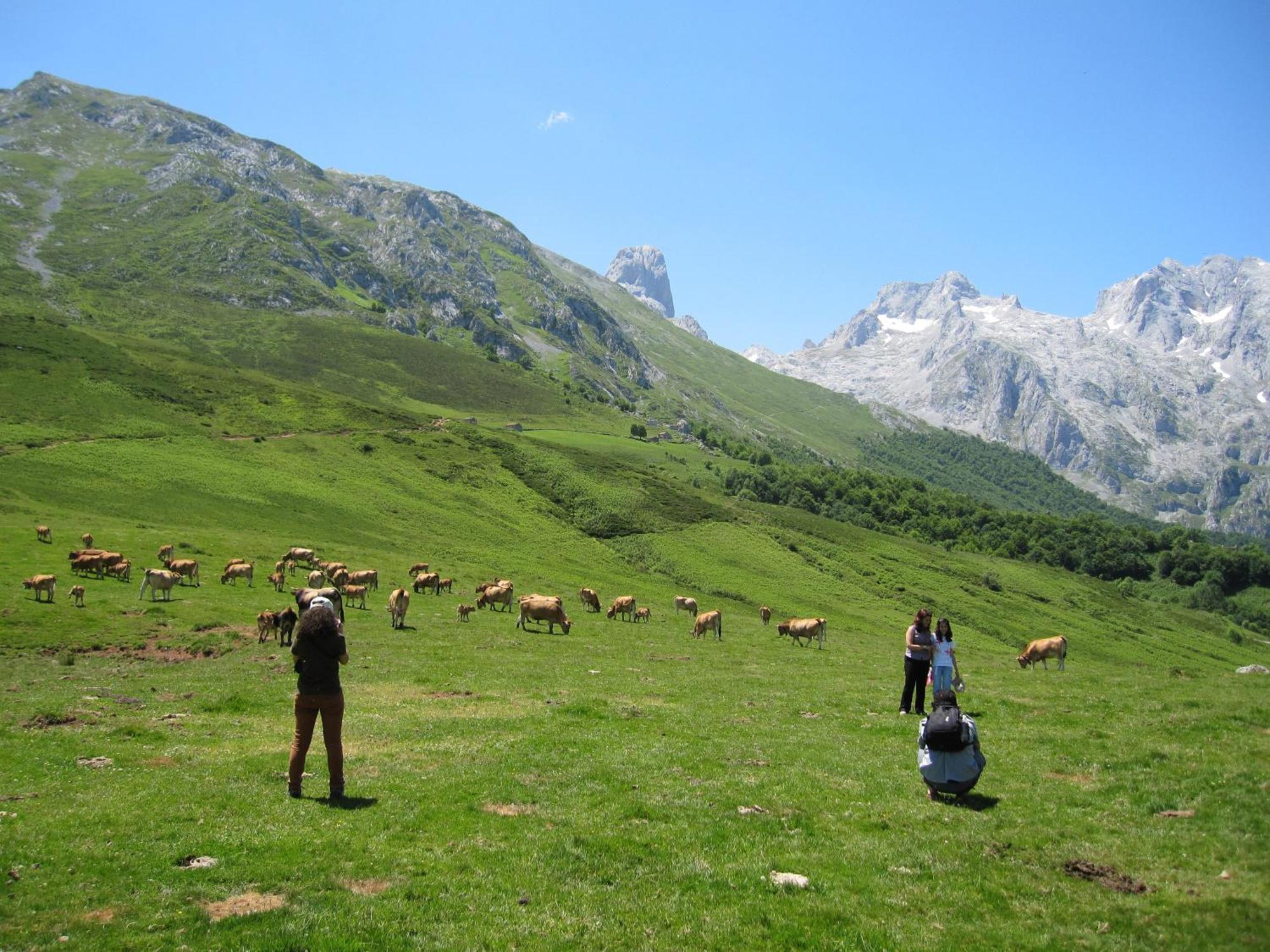 Hosteria Picos De Europa ポテス エクステリア 写真